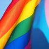 LGBTQ and trans pride flags
