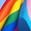 LGBTQ+ pride flags