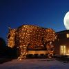Buffalo light sculpture