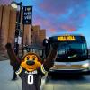 Chip the buffalo mascot with hands raised in front of a Buff Bus