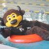  Chip the buffalo mascot floating in an inner tube in a pool
