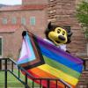 Chip the buffalo mascot holding an LGBTQ+ flag on campus