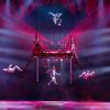 Cirque De Soleil performers