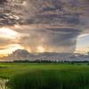 Clouds loom over green grass, pond