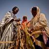 Women in East Africa look at a dead stalk of corn