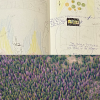 composite of a book with illustrations and an aerial view of landscape