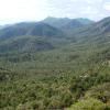 Coronado National Forest