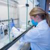 Lab researcher works under a fume hood
