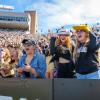 football fans cheering in the stands