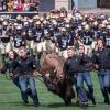 Colorado football entering Folsom Field behind Ralphie
