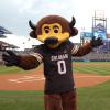 Chip stands on Coors Field in Denver, home of Colorado Rockies