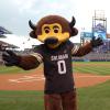 Chip the Buffalo at the Rockies stadium