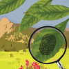 Magnifying glass uncovers fingerprint, Flatirons in the background
