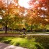 Person riding a bike on campus surrounded by fall foliage