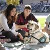 Scene from last fall's dog cafe with therapy dog Loki