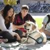 students pet a therapy dog on campus