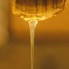 Stock photo showing honey dripping