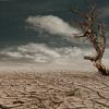 A drought-parched landscape