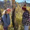 STEM Launch students Delilah Viano (left) and Adriana Schisel (right) stop to look at a burn scar along the Fern Lake Trail