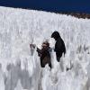 Researchers in the field