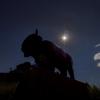 Buffalo statue with eclipsed sun behind