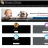  Elevate website screenshot