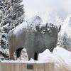 Snow-covered buffalo statue on campus