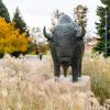 Buffalo sculpture on campus