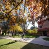fall foliage on campus