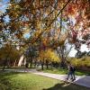 Students walking on campus with fall colors