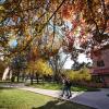 Fall colors on campus