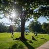 Students enjoy a fall day.