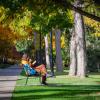 student reading on campus