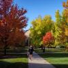fall scenic