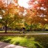 Person biking on campus