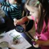 Child looks at plant through magnifying glass