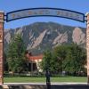 Farrand Field oak trees