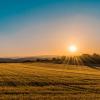 Sunset over grassy field