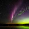 Auroras