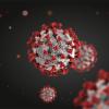 SARS-CoV-2 virus