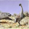 Artist's rendition of a prehistoric reptile and a giant bird called the Genyomis