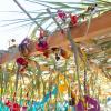The top of an outdoor structure called a sukkah, made of palm fonds, tree branches and reeds