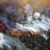 Wildfire