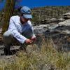 Postdoctoral researcher Emily Fusco researching invasive grasses and their effect on wildfires