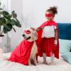 Girl and a dog dressed as heroes, standing on a bed