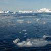 greenland sea ice cover