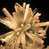 A gypsum crystal