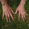 two hands pressing down on grass and dirt