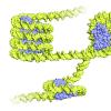 an illustration of a nucleosome