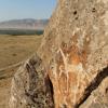Petroglyph of a horse carved into a rock with grassland in the background